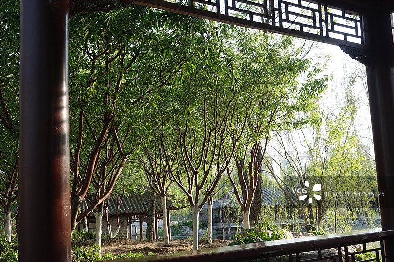 天津宁园园林景观-建筑自然风光图片素材