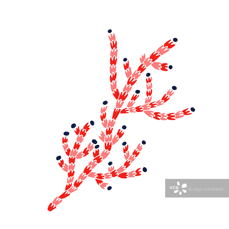 水下珊瑚枝与珊瑚虫的植物图片素材