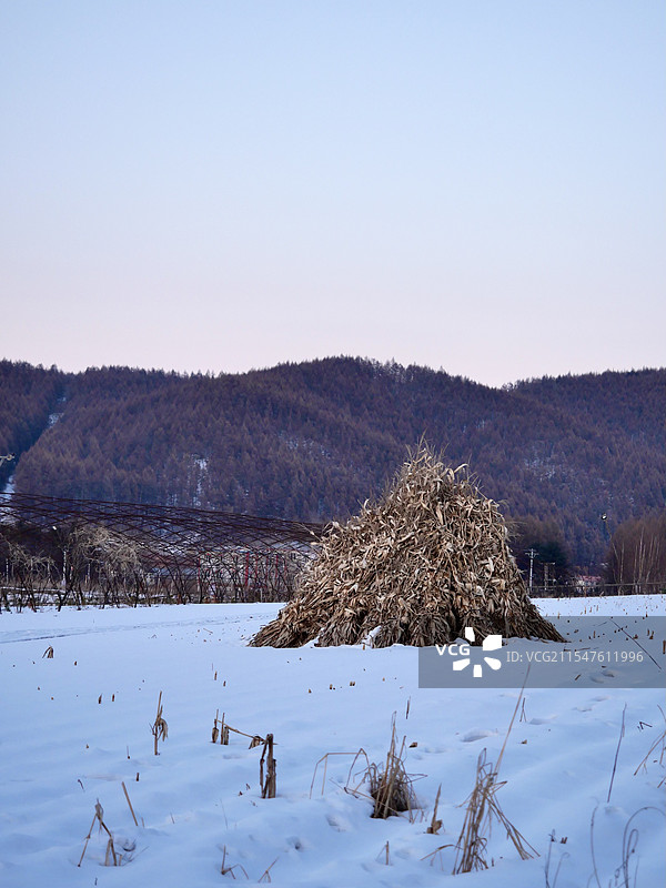 北国乡村的雪景图片素材