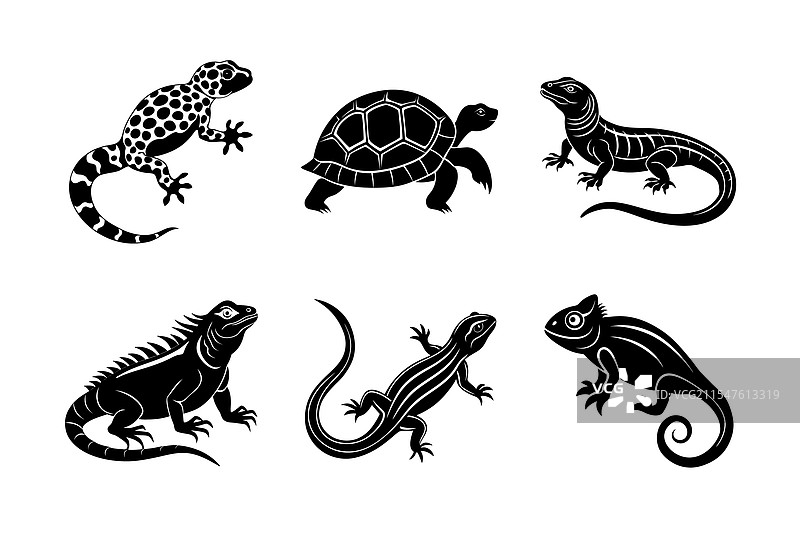 爬行动物家养动物剪影合集图片素材