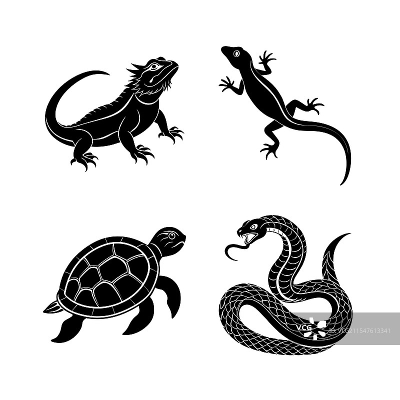爬行动物家养动物剪影合集图片素材