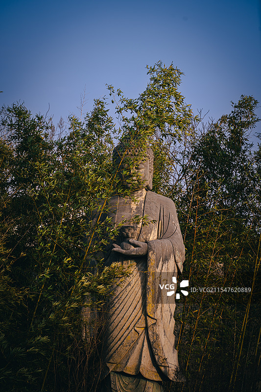 竹林前的一尊佛像。图片素材