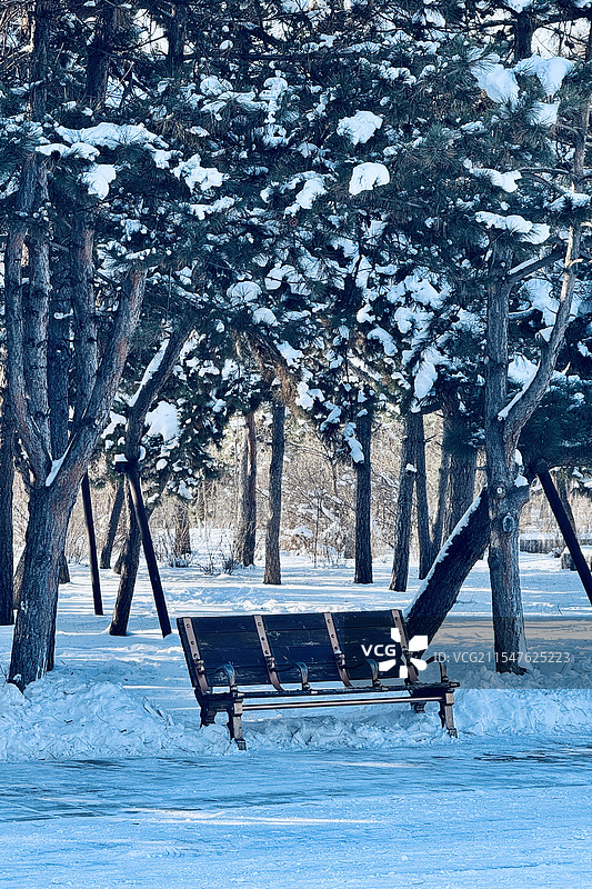 沈阳·雪后的北陵公园长椅图片素材