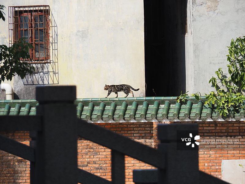 中山大学图片素材