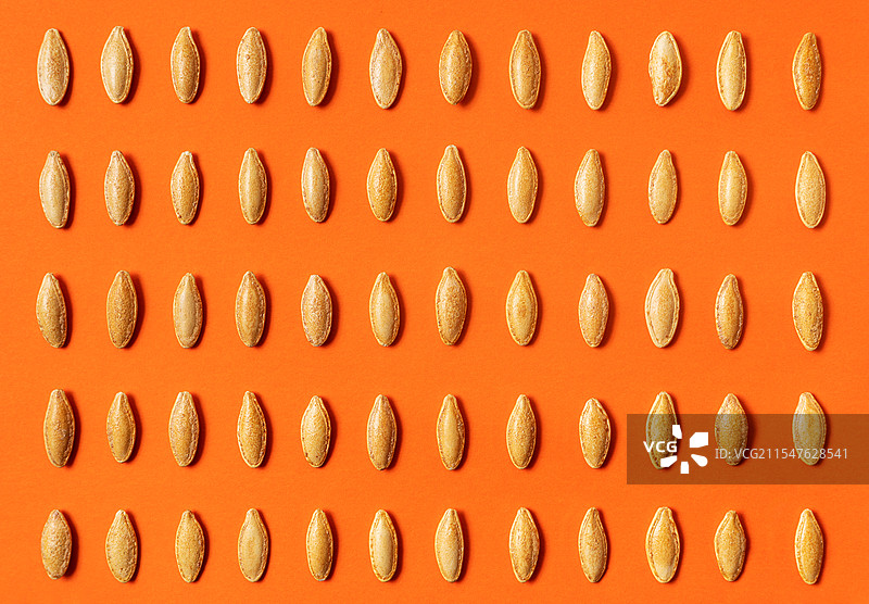 美人甲南瓜子整齐排列在橘黄色背景上图片素材
