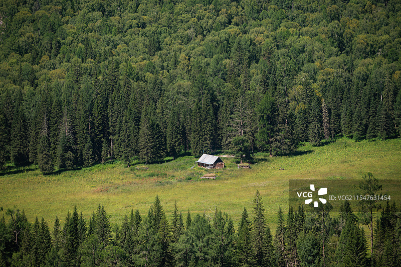 人与自然和谐共生1图片素材