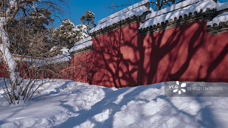 冬日北陵图片素材
