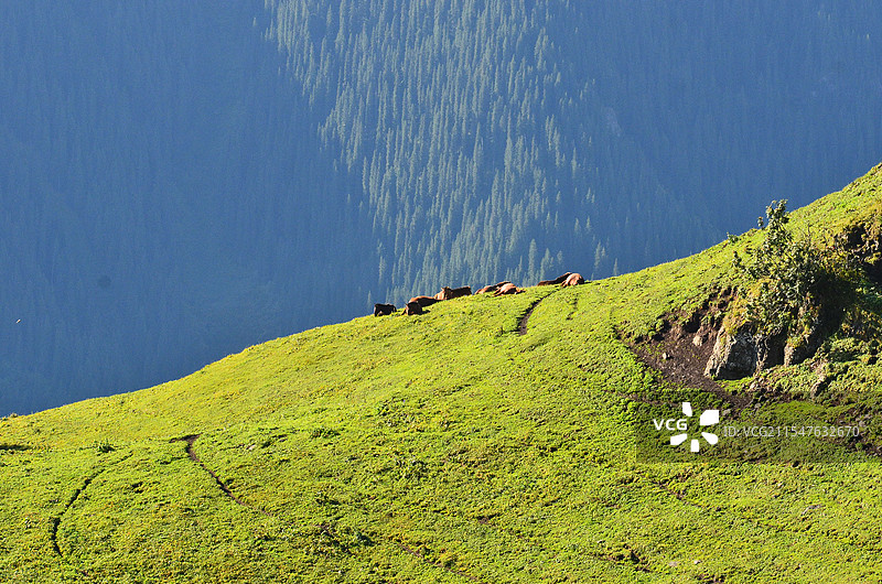 新疆独库公路上的风景图片素材