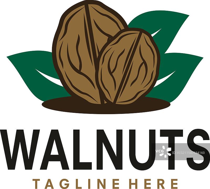 手绘的新鲜核桃，孤立在白色背景上图片素材