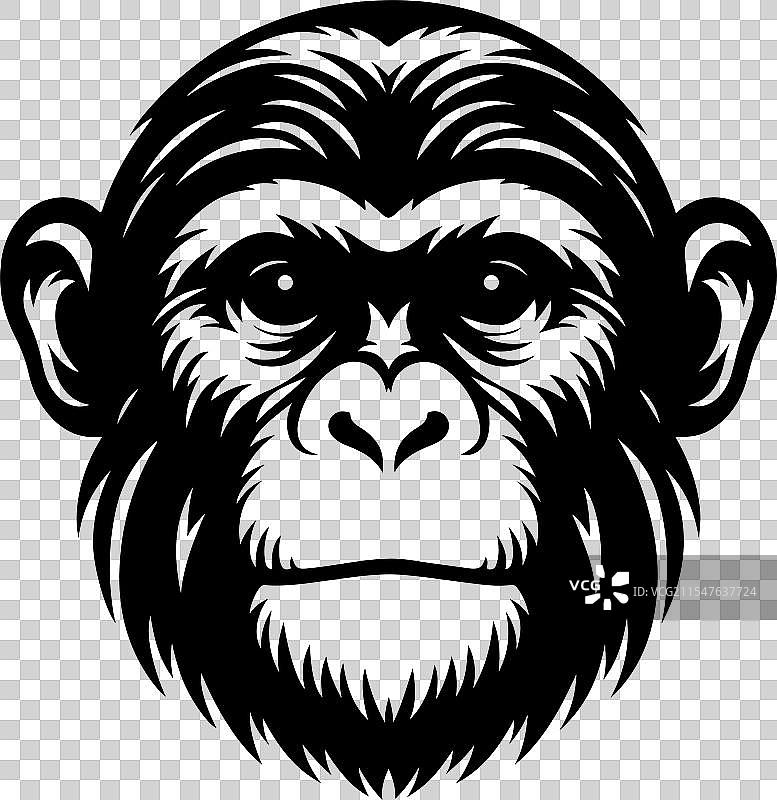 猴子面孔剪影艺术图片素材