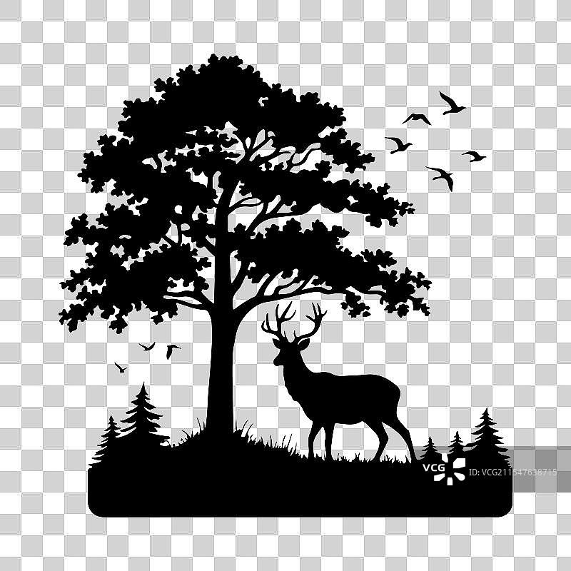 自然与野生动物艺术图片素材