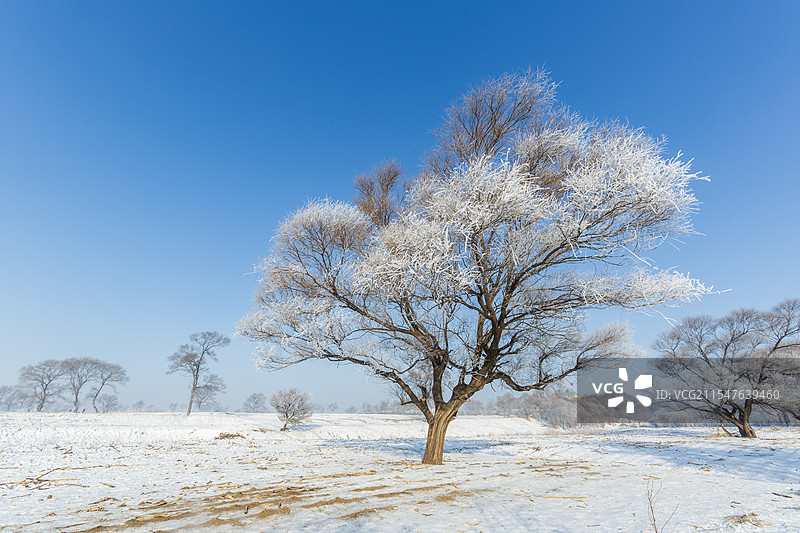 吉林市龙潭区雾凇岛自然奇观雾凇盛景图片素材