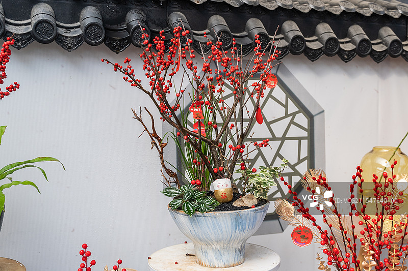 新年春节过节喜庆的家居布置摆件，白底白色背景的柿柿如意和红果发财果图片素材