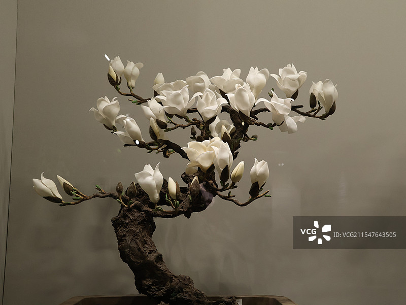 非遗绒花玉兰花图片素材