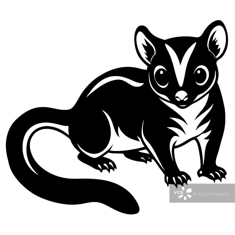 异国情调的哺乳动物家养动物糖滑鼠图片素材