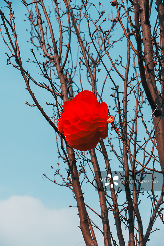 北京什刹海冬天图片素材