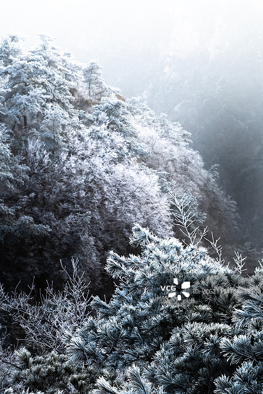 山东新泰新甫山山巅雾凇绝景图片素材