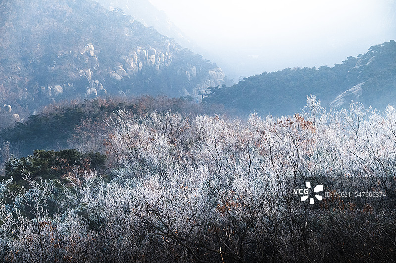 山东新泰新甫山山巅雾凇绝景图片素材