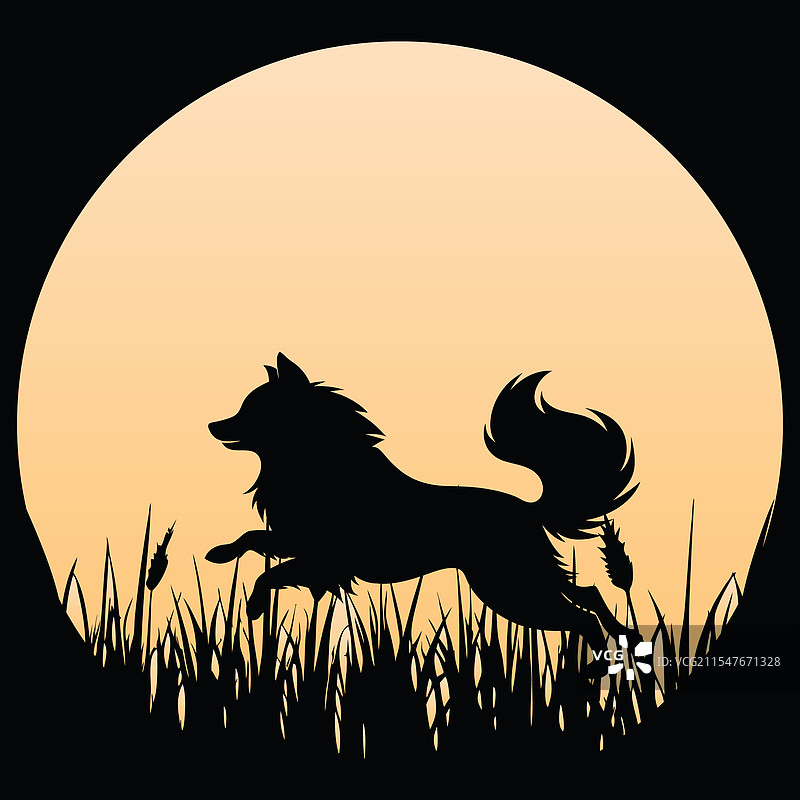 日本狆在日落时的复古风格图片素材