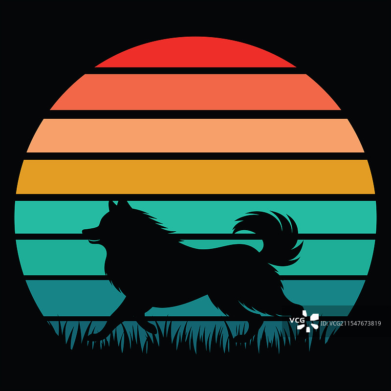 基什犬在日落下的复古风景图片素材