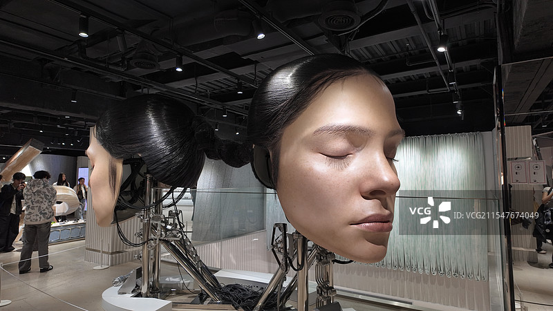 上海淮海中路巨人展 展出图片素材