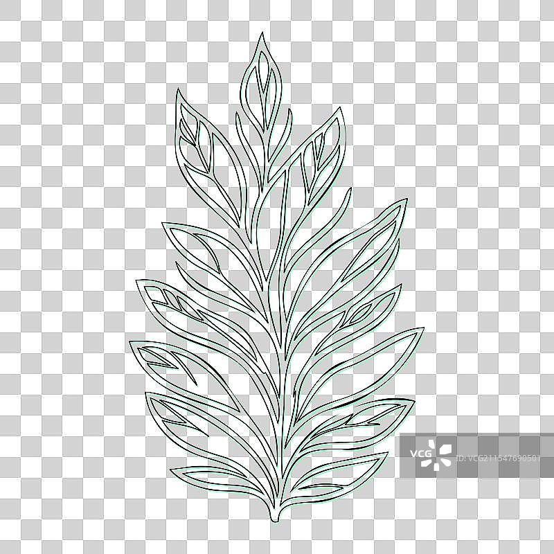 绿颜色的灰烬花轮廓草图图片素材