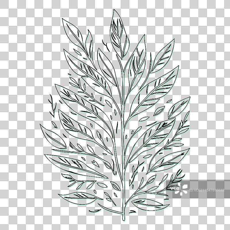 绿叶灰花轮廓草图图片素材