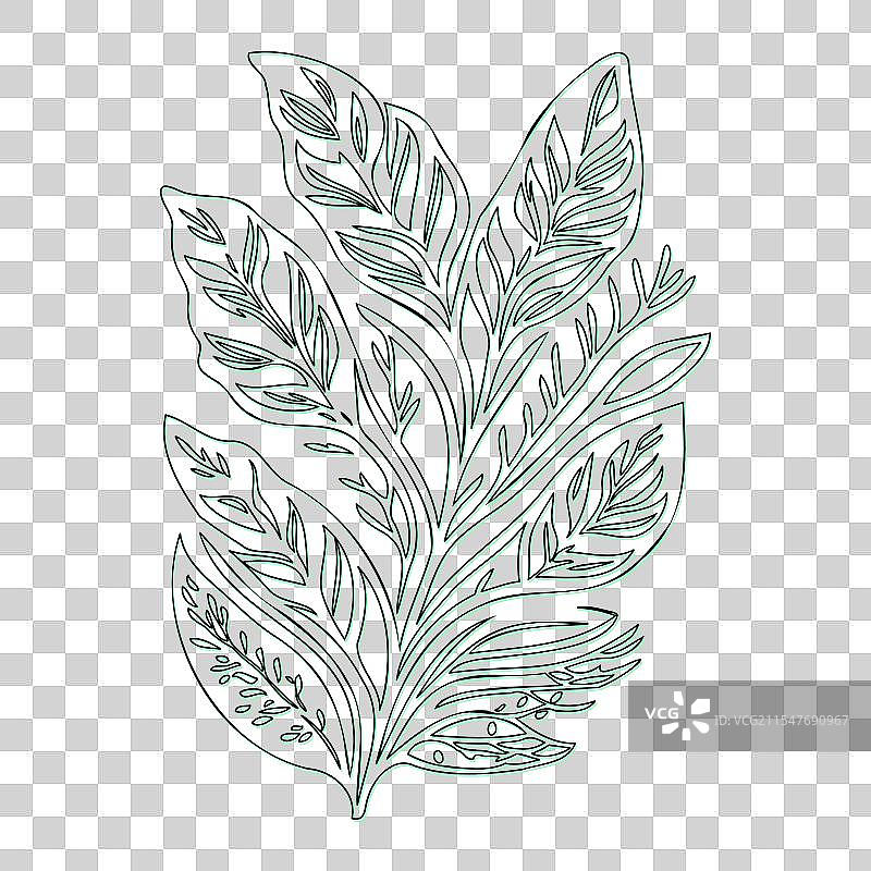 绿叶灰花轮廓草图图片素材