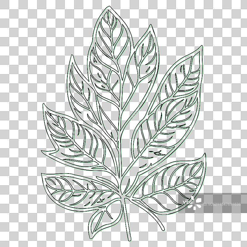 栗花轮廓素描绿色图片素材