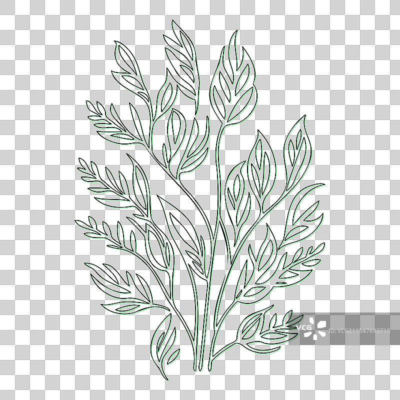 平行花朵轮廓草图，绿色图片素材