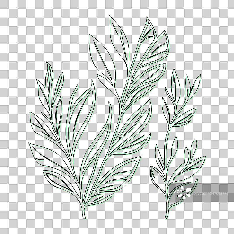 平行花朵轮廓草图，绿色图片素材