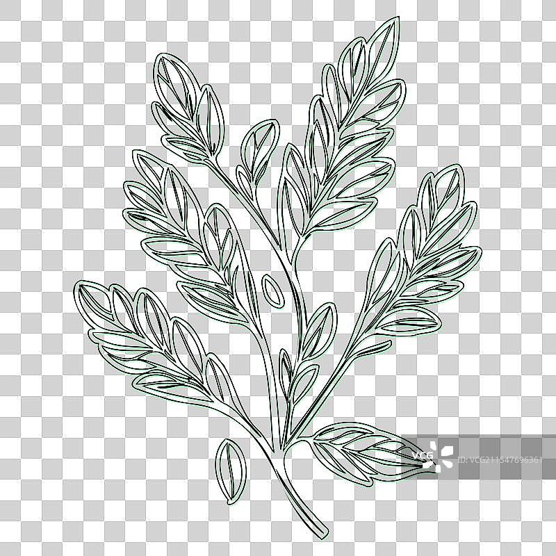 海棠果花轮廓素描绿色图片素材