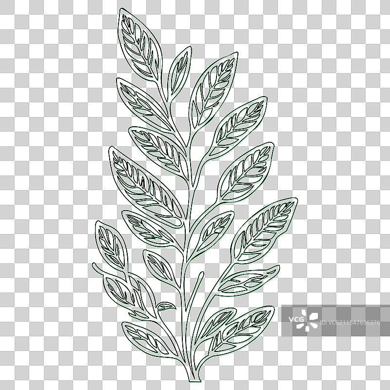 海棠果花轮廓素描绿色图片素材