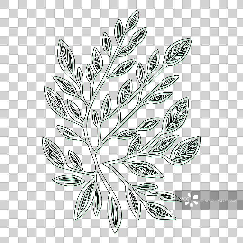 海棠果花轮廓素描绿色图片素材