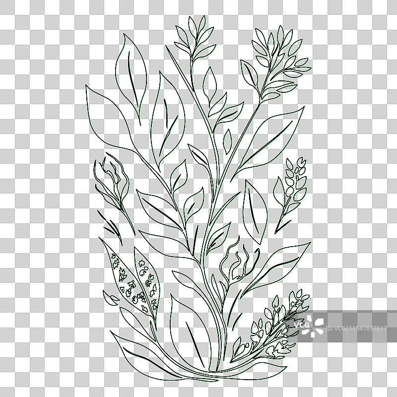 螺旋花朵轮廓草图，绿色图片素材