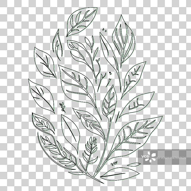 螺旋花朵轮廓素描绿色图片素材