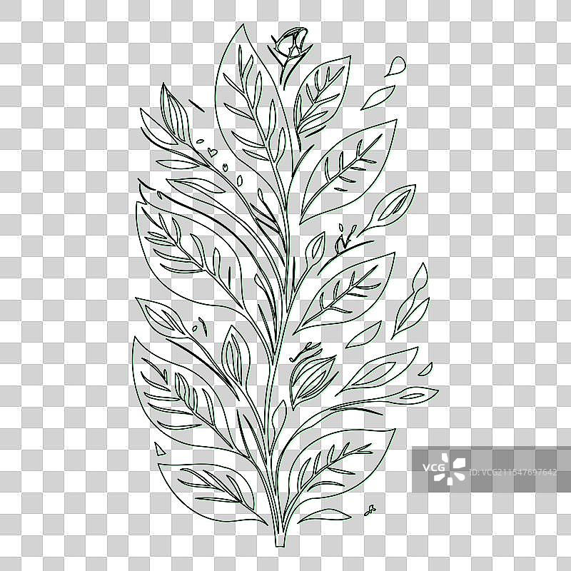 螺旋花朵轮廓素描绿色图片素材