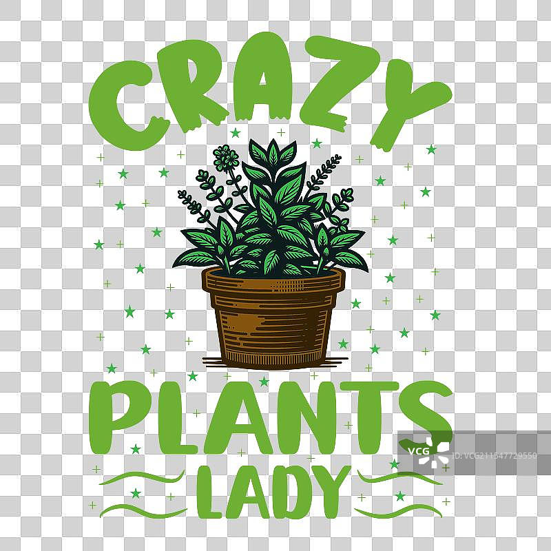 疯狂植物女士 - 植物排版设计图片素材