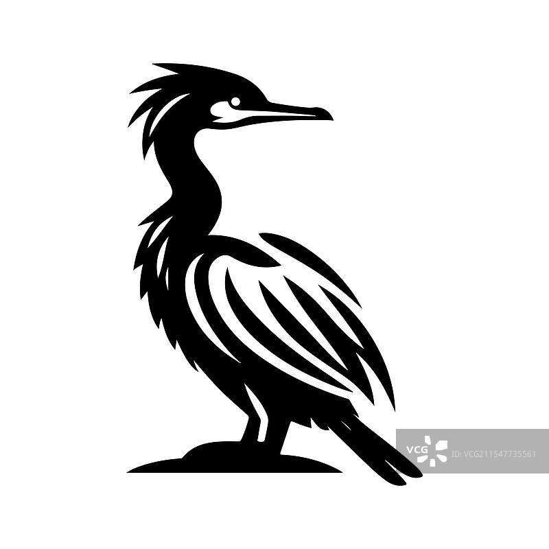 下载惊艳的双冠鸬鹚图片素材