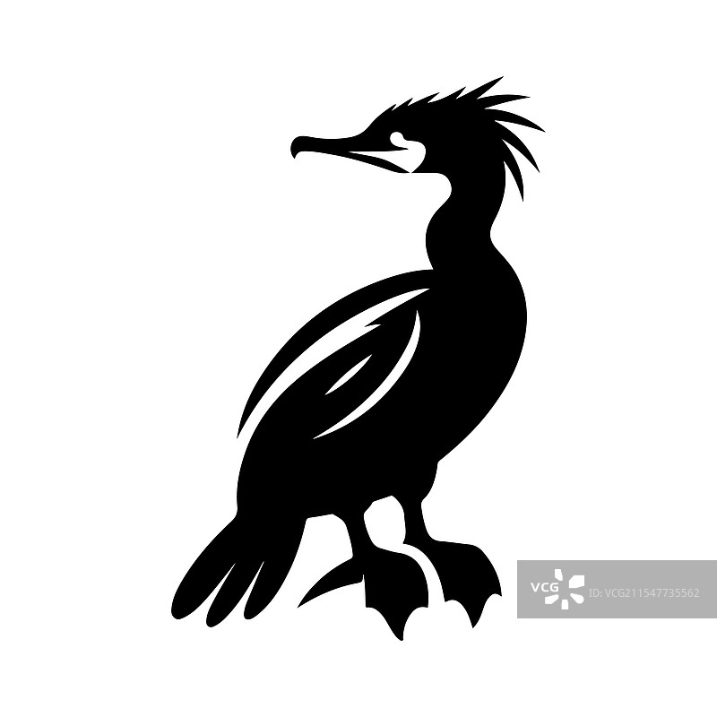 下载惊艳的双冠鸬鹚图片素材