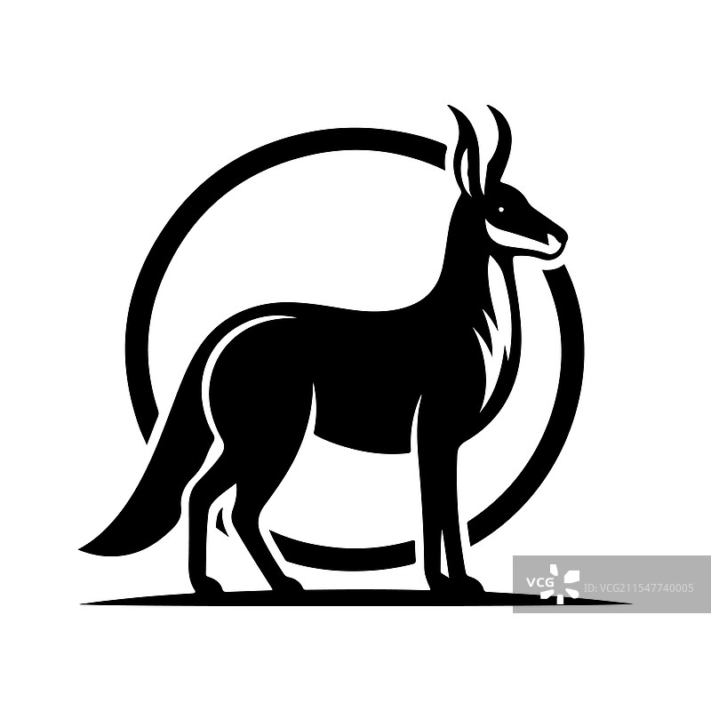 巴塔哥尼亚玛拉的剪影，独特的野生动物图片素材