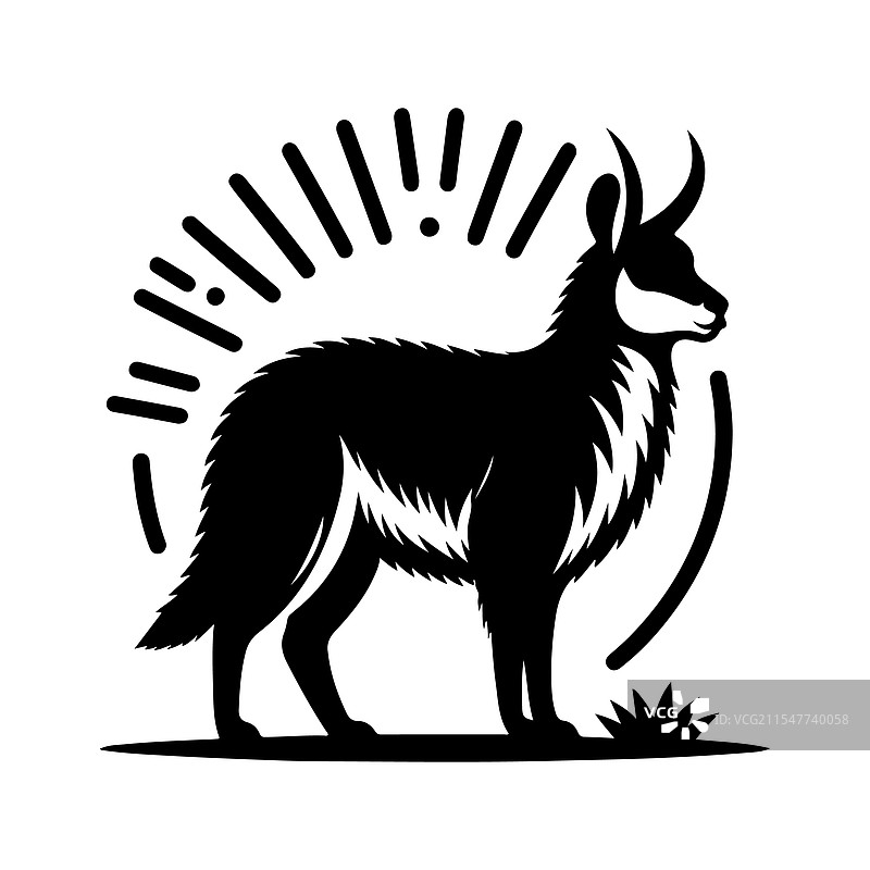 巴塔哥尼亚玛拉的剪影，独特的野生动物图片素材