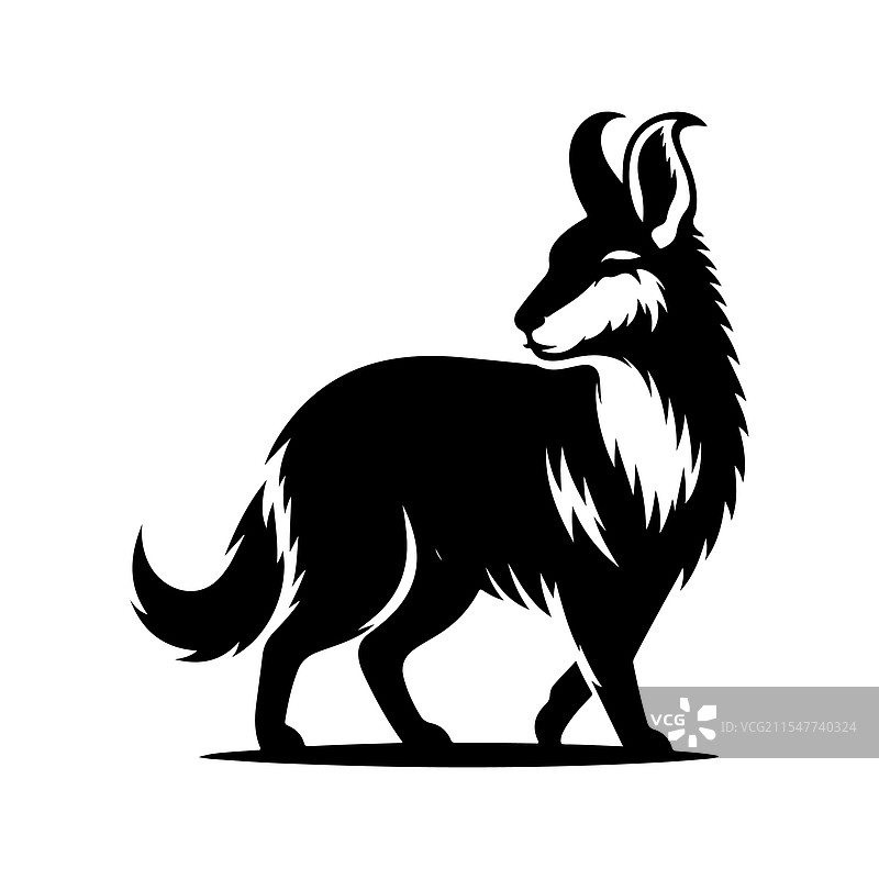 巴塔哥尼亚玛拉的剪影，独特的野生动物图片素材