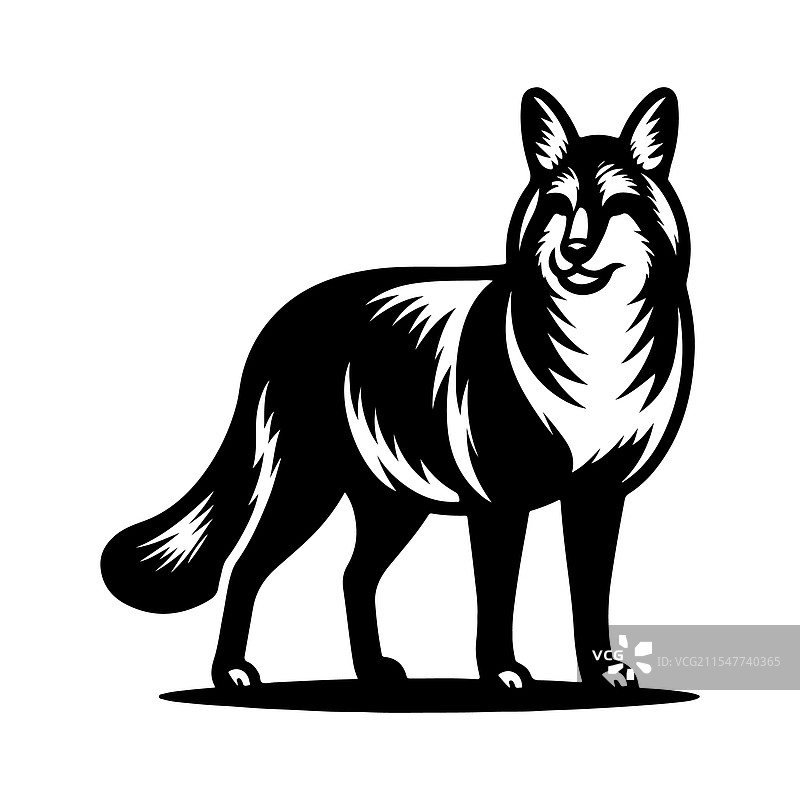 巴塔哥尼亚玛拉的剪影，独特的野生动物图片素材