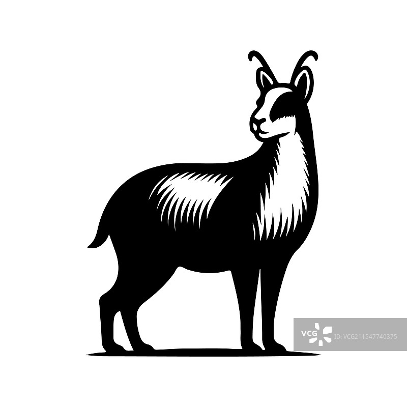 巴塔哥尼亚玛拉的剪影，独特的野生动物图片素材