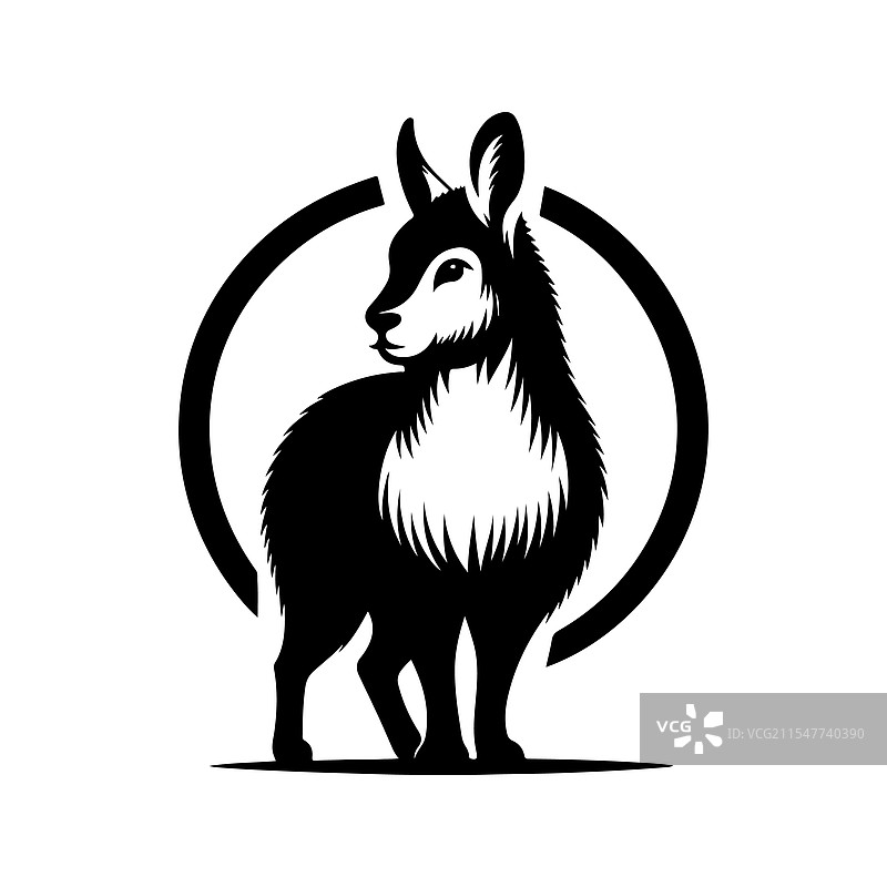 巴塔哥尼亚玛拉的剪影，独特的野生动物图片素材