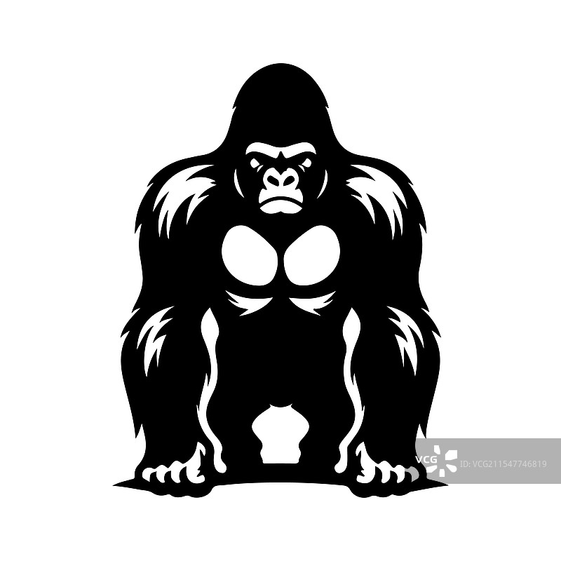 西部大猩猩的剪影，令人惊叹图片素材