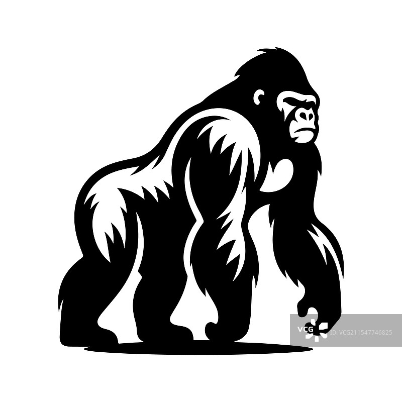 西部大猩猩的剪影，令人惊叹图片素材