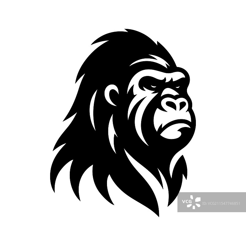 西部大猩猩的剪影，令人惊叹图片素材