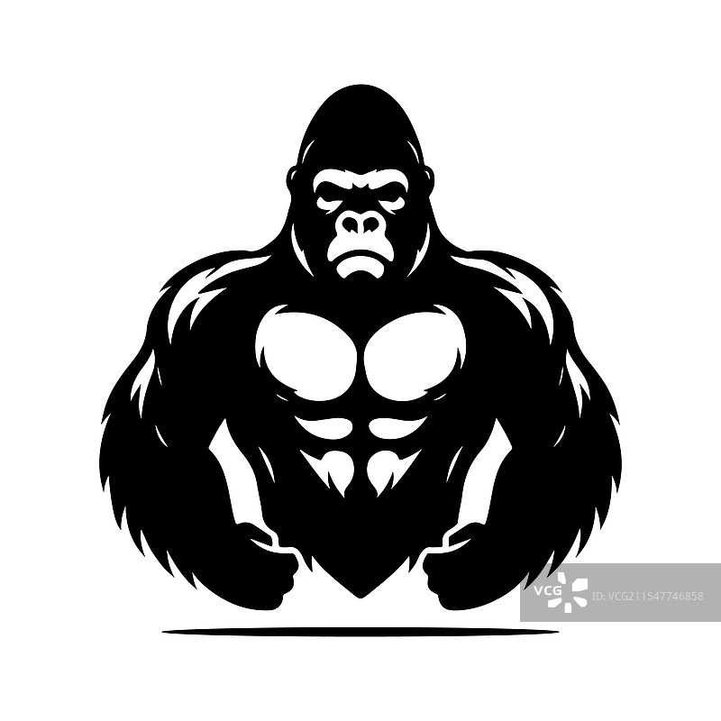 西部大猩猩的剪影，令人惊叹图片素材